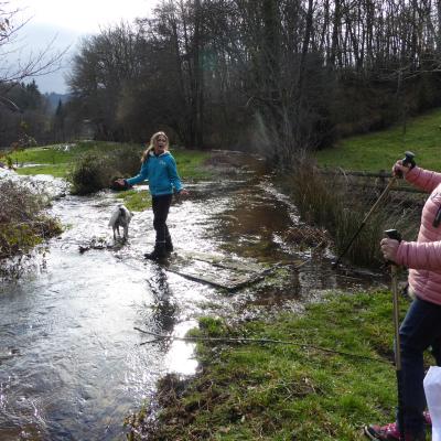 2018chemin De La Papeterie 20184