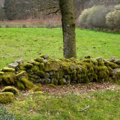 2016transhumance 14 11 16 2