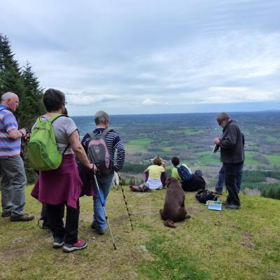 2016transhumance 14 11 16 3